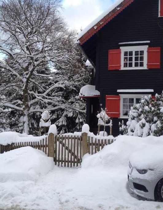 Villa Herzog - Ferienhaus Fuer 6 Personen In Braunlage, Harz Kültér fotó