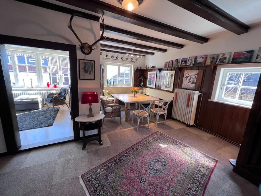 Villa Herzog - Ferienhaus Fuer 6 Personen In Braunlage, Harz Kültér fotó