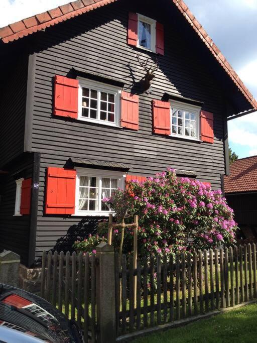 Villa Herzog - Ferienhaus Fuer 6 Personen In Braunlage, Harz Kültér fotó